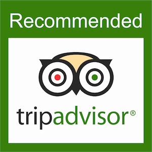 Travel Advisor