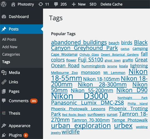 categories and tags in wordpress